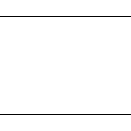 5 x 7" White Inventory Rectangle Labels